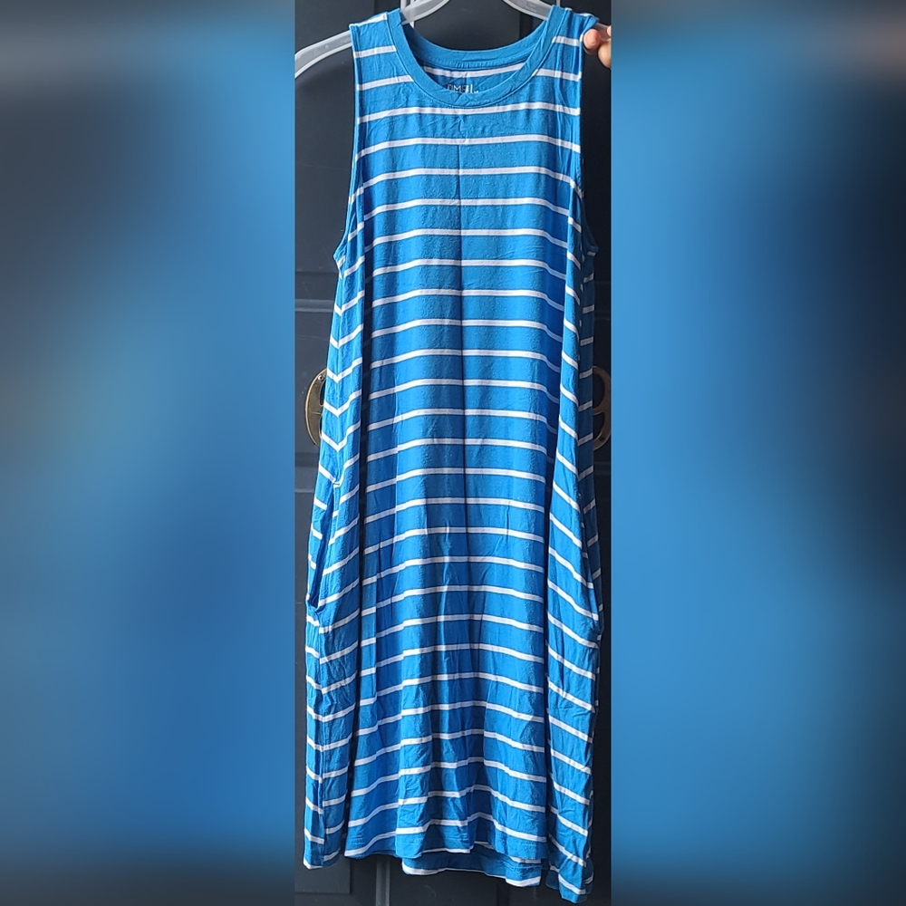 Blue and white time and Tru tank top dress